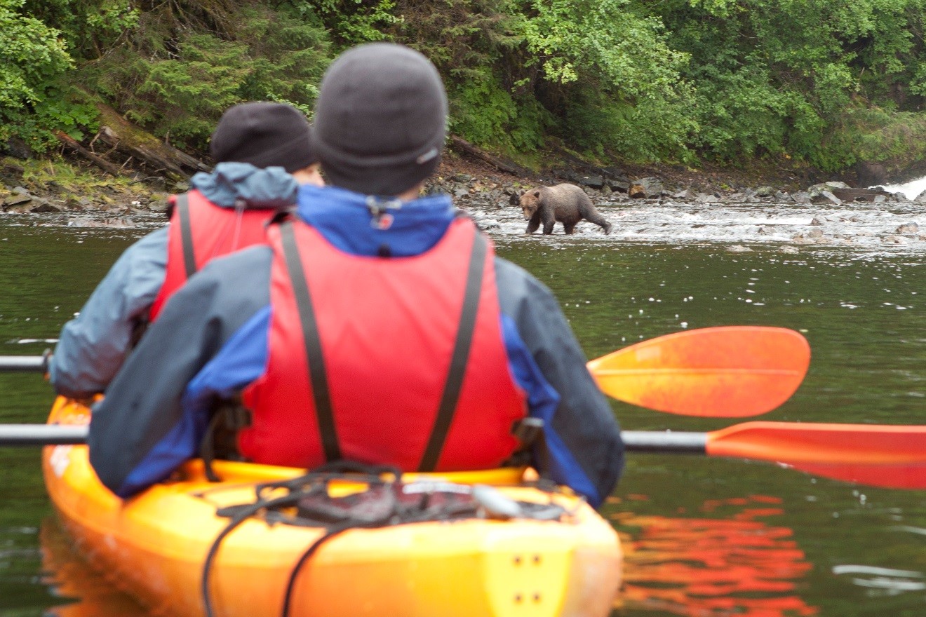 inside passage, brown bears, kayaking