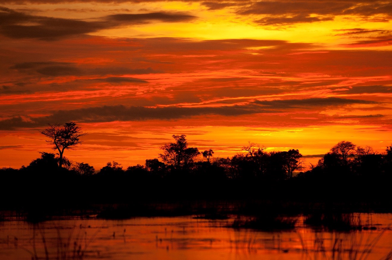 a red and orange sunset fills the sky above botswana's okavango delta