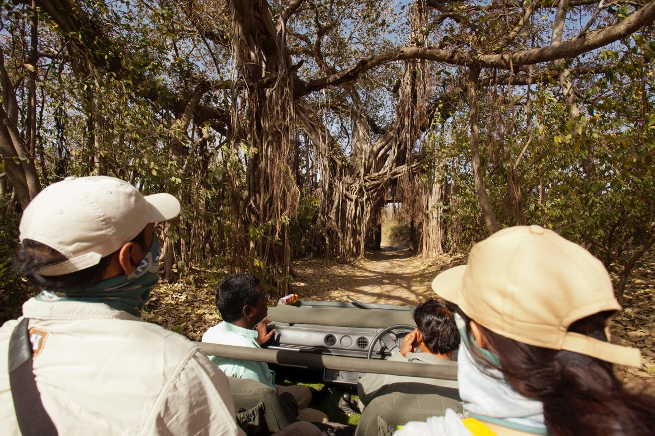 travelers in jeep exploring ranthambore national park