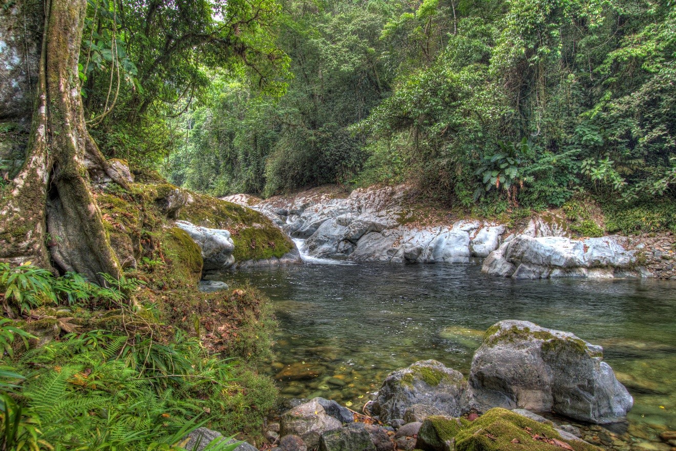 a photo of the central american jungle using HDR, specifically of a small waterfall and river
