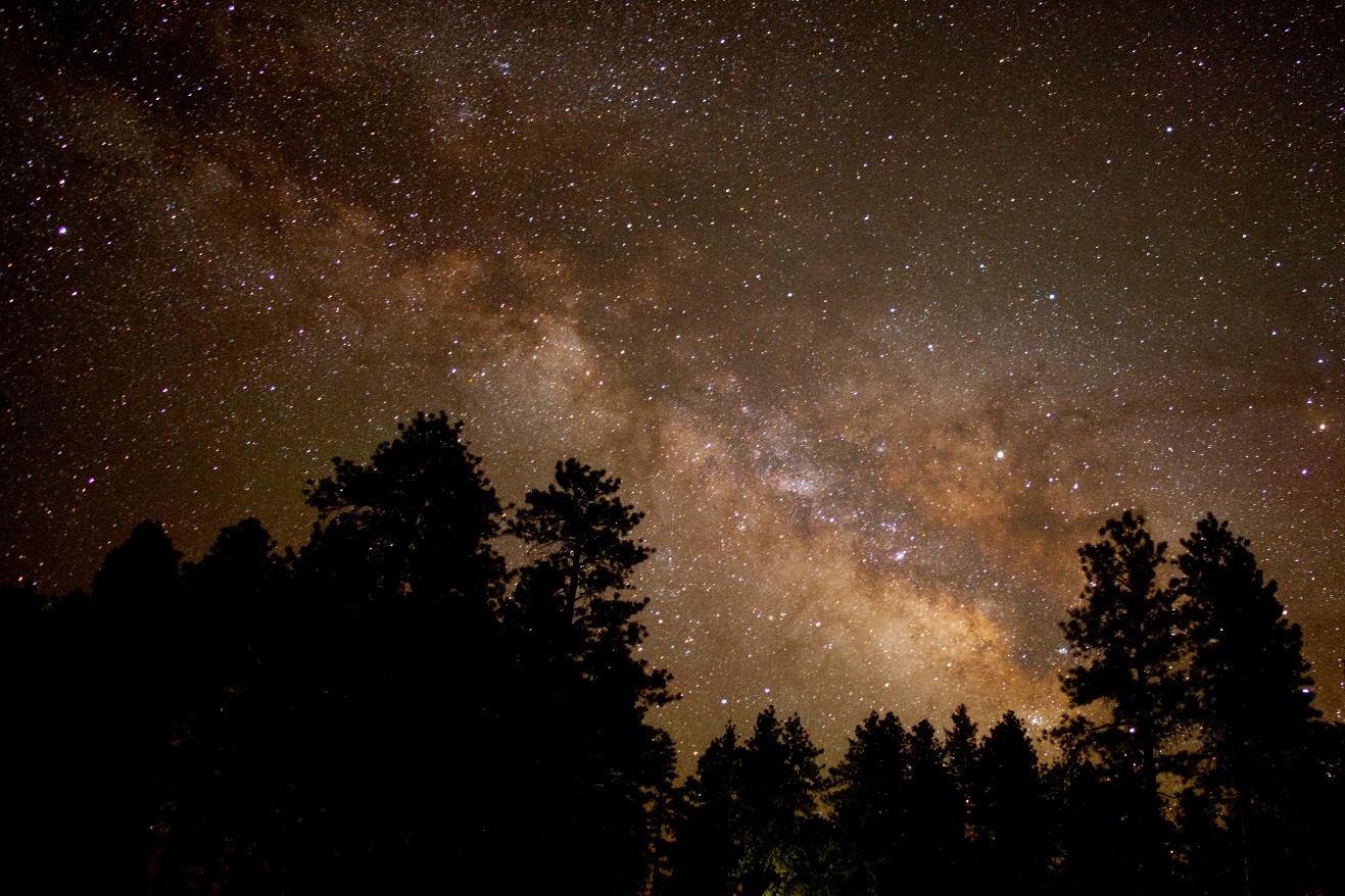 milky way above the forest near the rim of bryce canyon national park