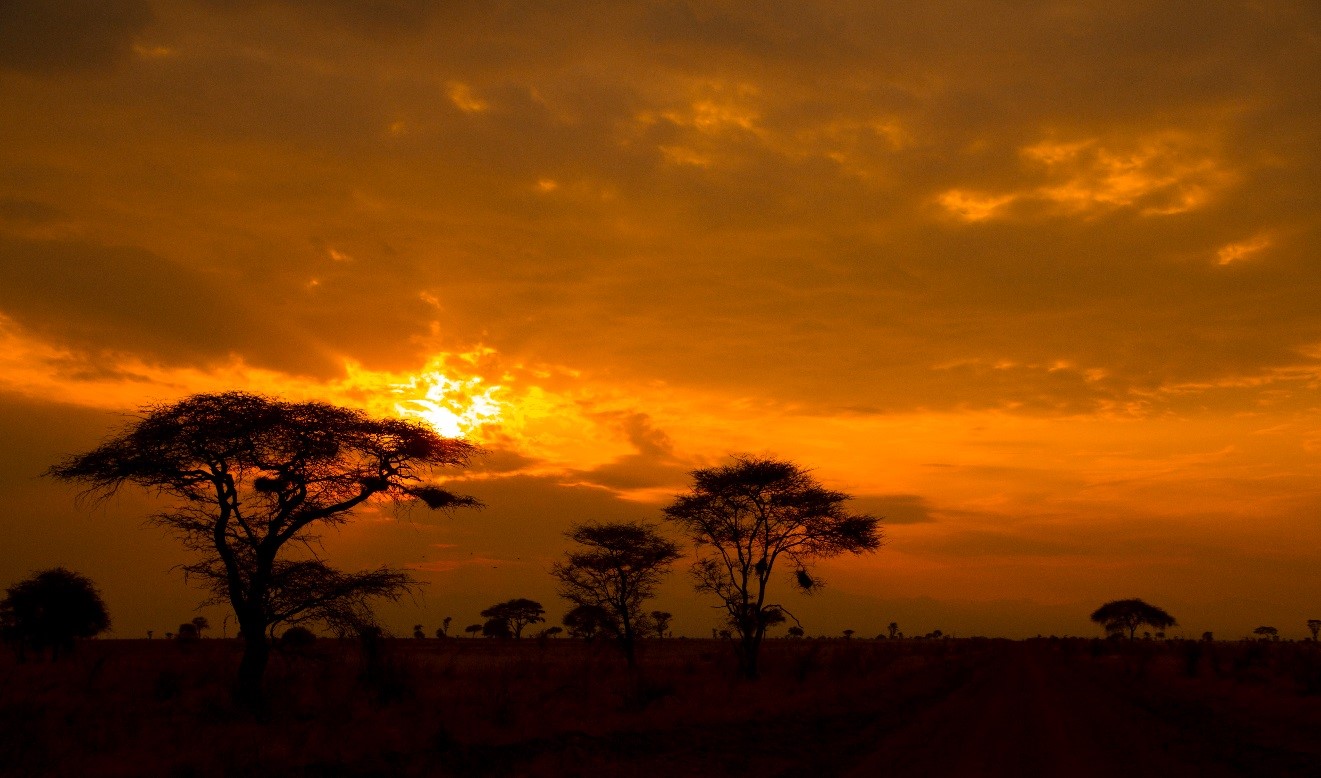 a vibrant orange and red sunset blasts through the clouds in east africa