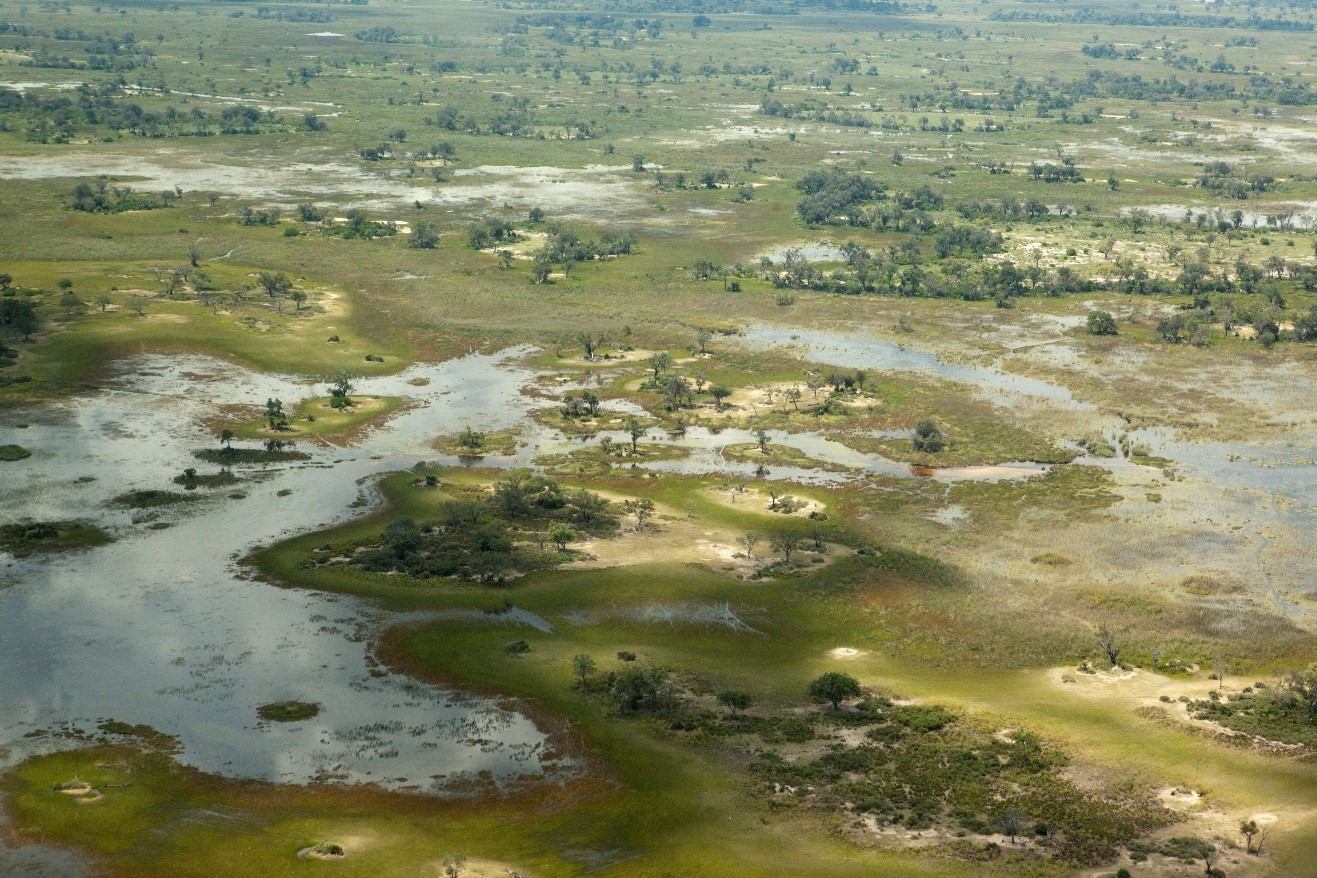 a bird's eye view of botswana's okavango delta