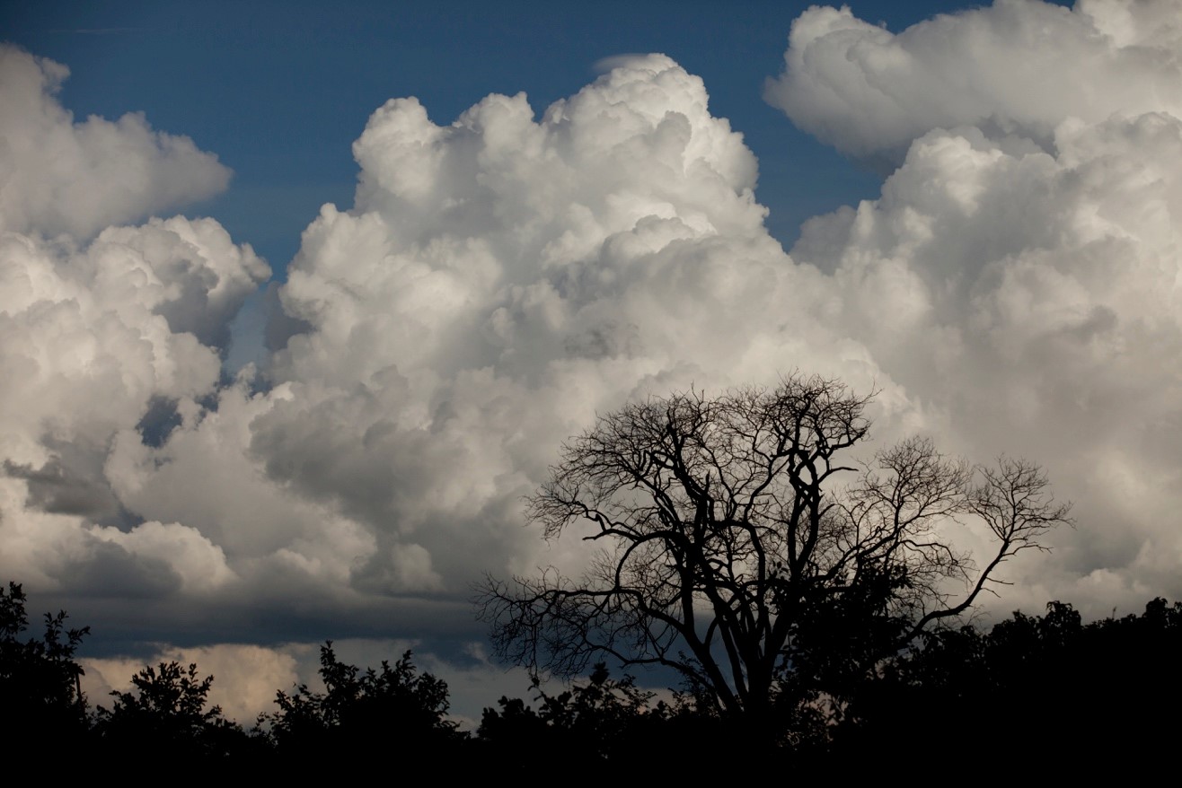 thunder clouds tower over Botswana during the green season