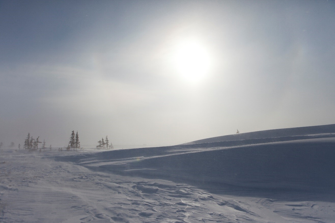 a cold view of Churchill's arctic tundra with a shrouded sun behind some clouds