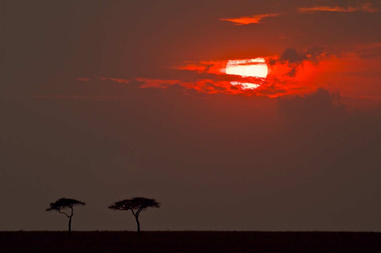a unique monochromatic sunset lingers over the masai mara in kenya