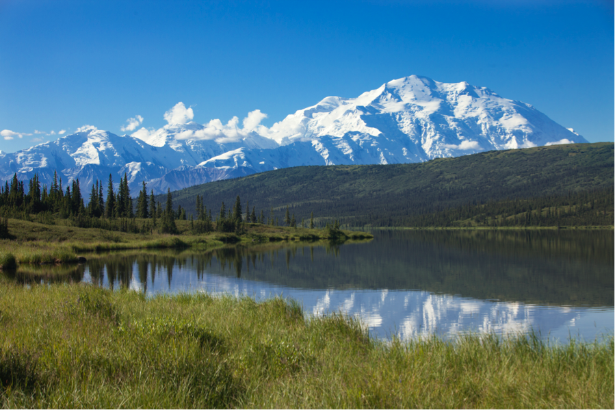 a perfect composition showcases the beauty of mt. denali in alaska