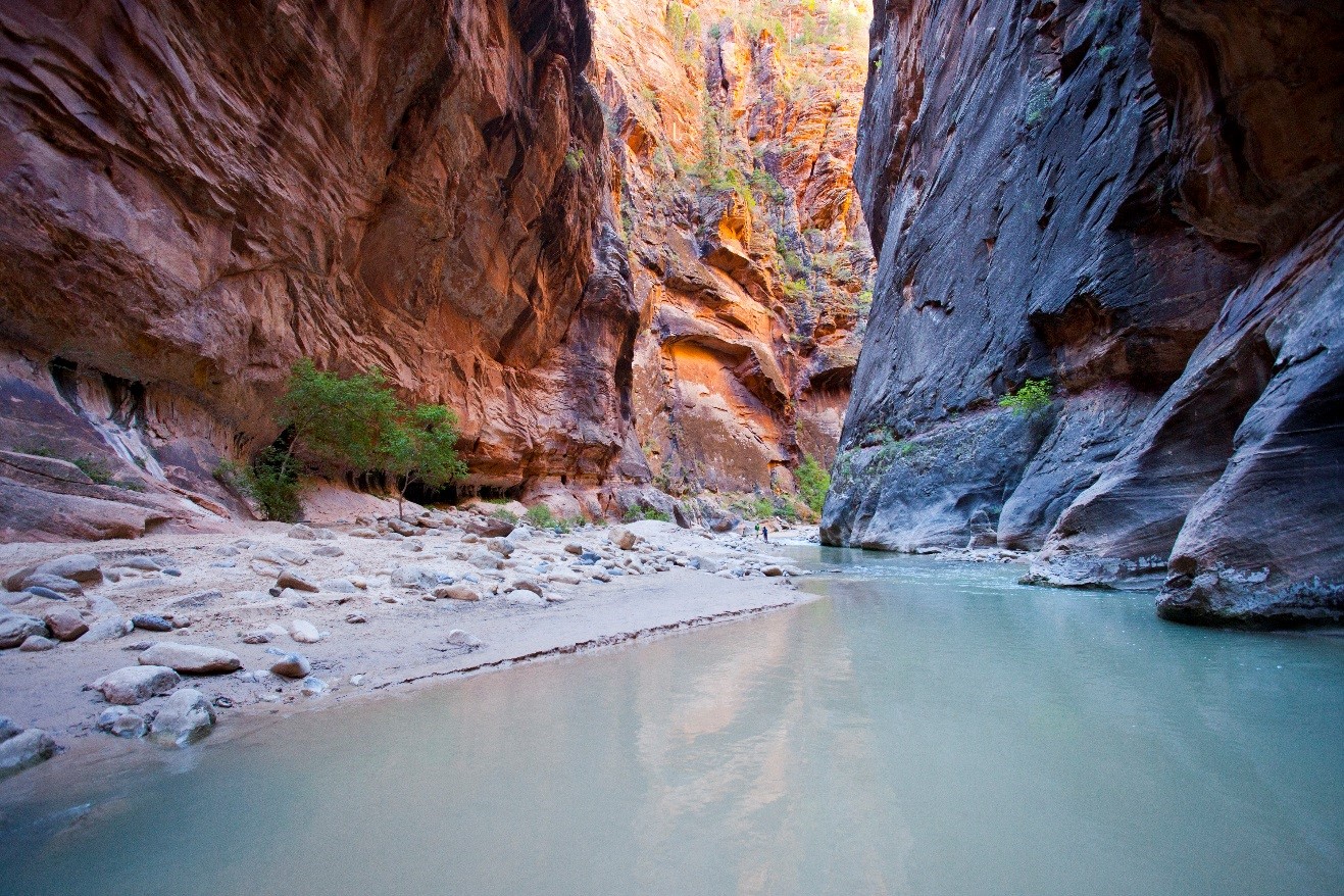 the narrows in Zion National Park with golden lighting and beautiful water of the virgin river