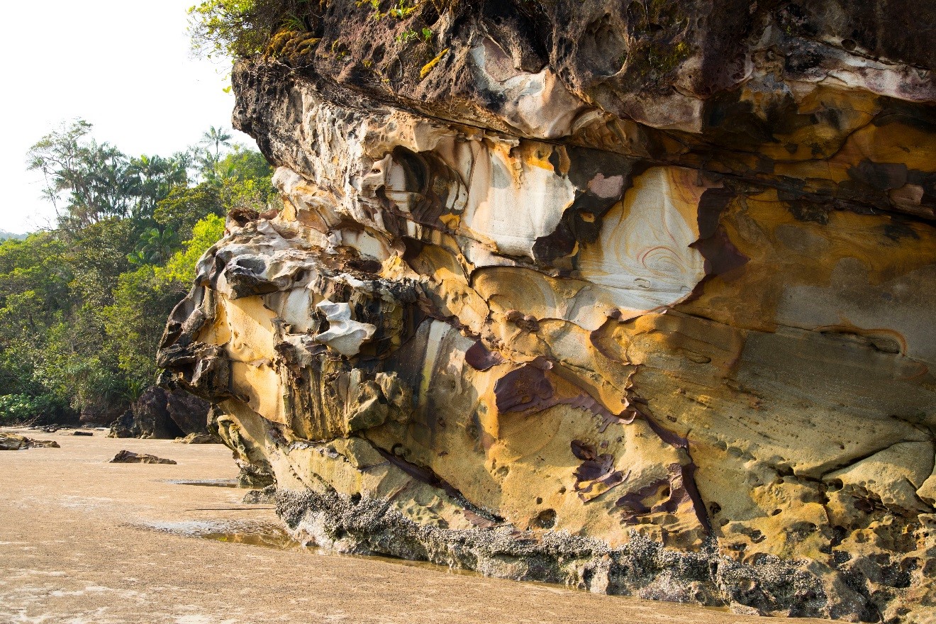 a towering sandstone formation in Borneo's bako island