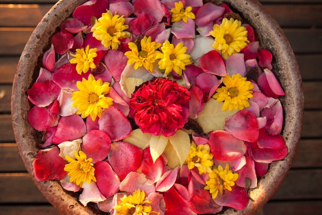 a colorful assemblage of flowers fills a pot outside of a hotel in myanmar