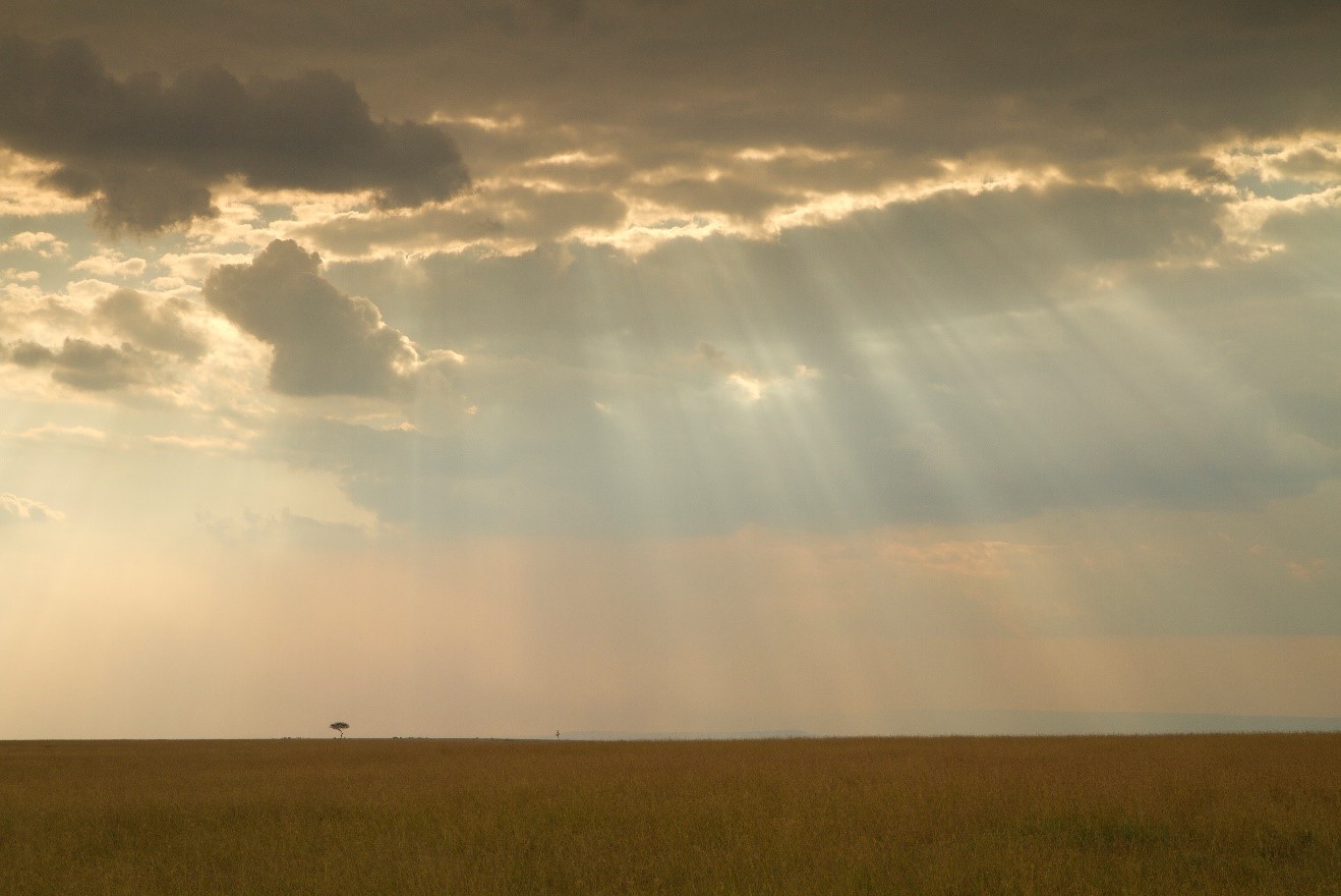 a large open plain reveals a striking afternoon with sun rays through the clouds