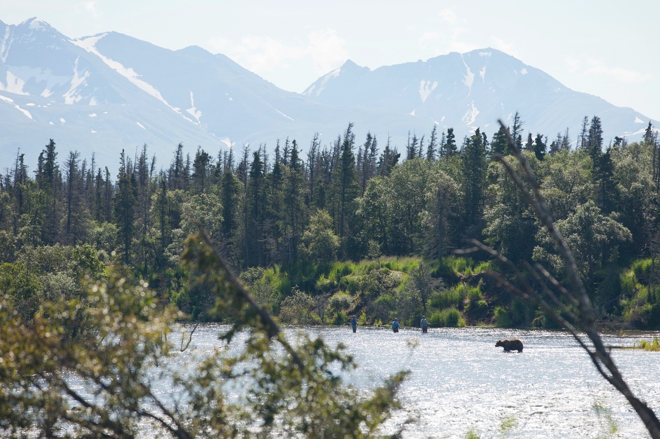 a photo of fishermen next to a brown bear in Katmai National Park