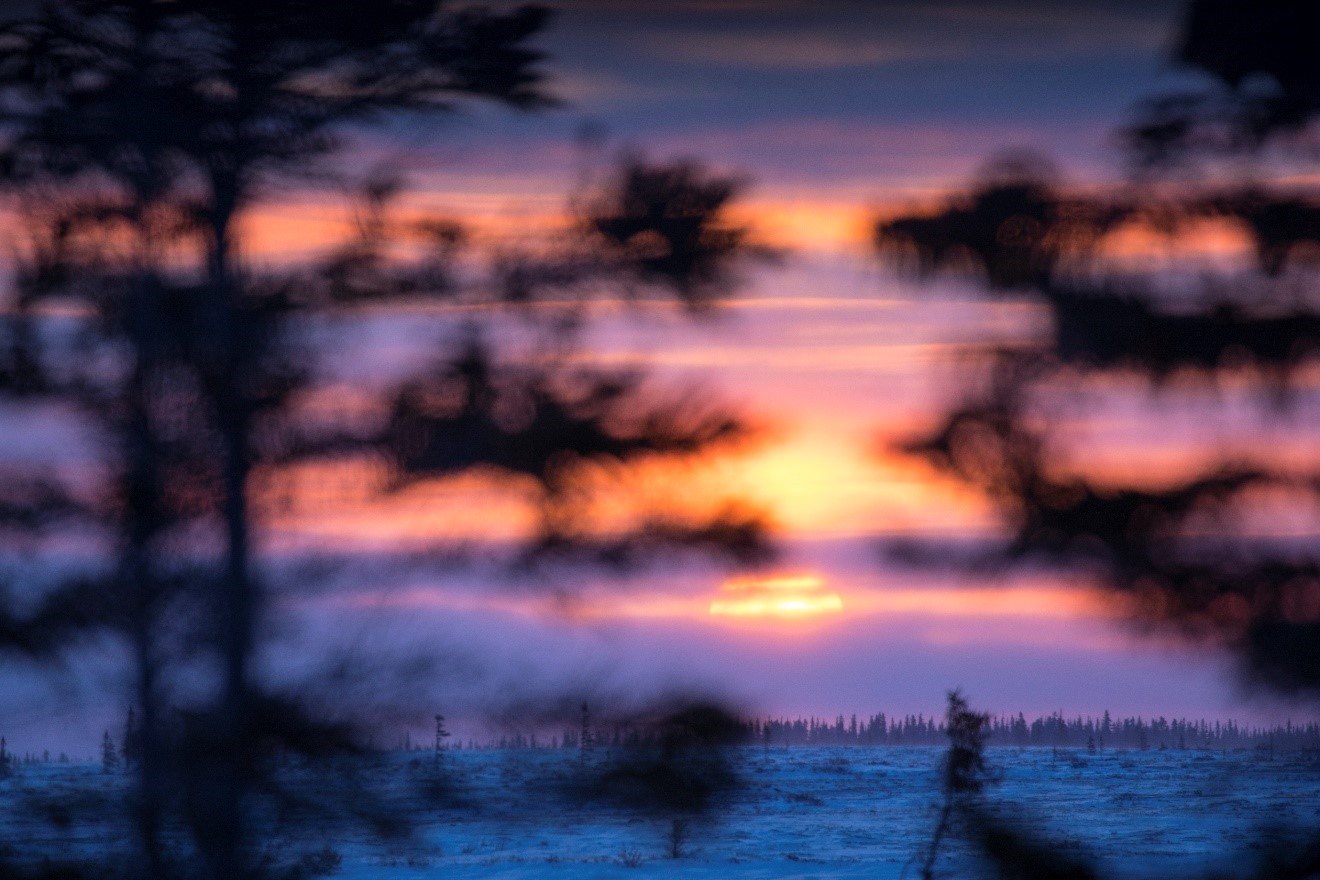 a cool blue arctic sun descends behind the horizon in Churchill Canada