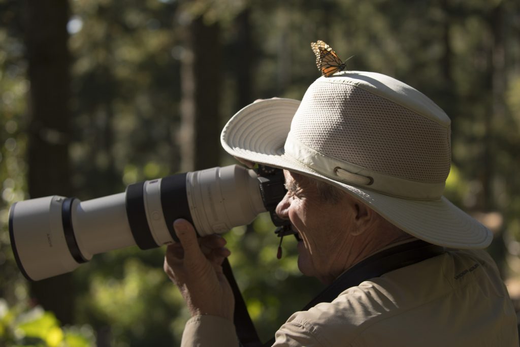 a photographer has a monarch butterfly on his hat as he photographs the monarch migration