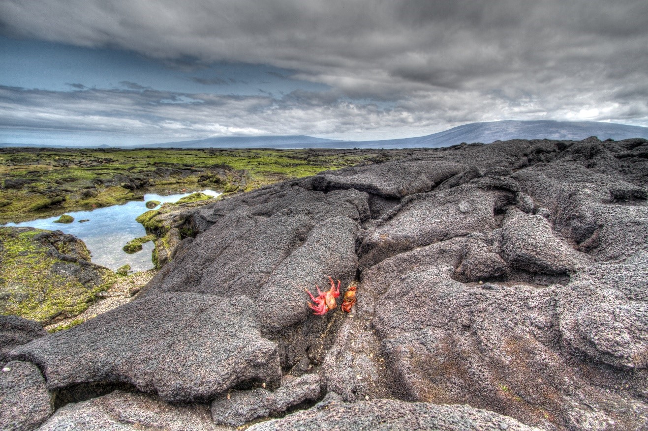 a unique landscape over the lava fields of Galapagos islands