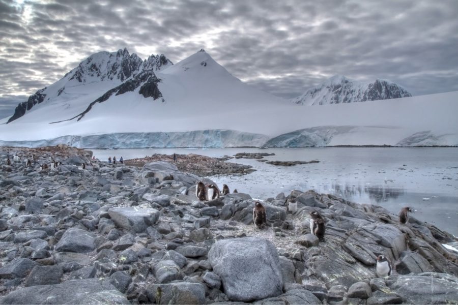 sweeping shot of antarctica landscape with mountains and penguins