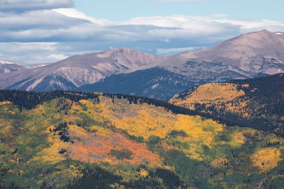 fall foliage taken from Mt. Evans in Colorado showing orange, yellow, and green leaves