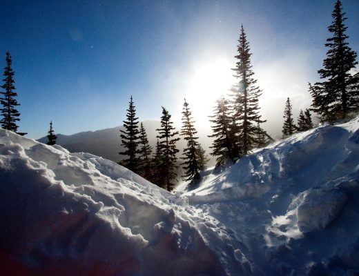 a stunning photo of the sun behind snow and spruce trees in a snowy rocky mountain national park