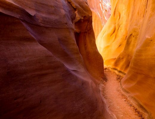 amazing light presents itself around the corner of a slot canyon in Escalante National Monument