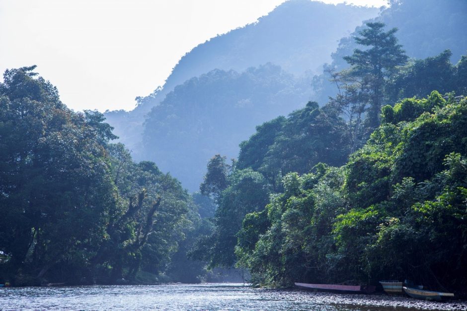 a beautiful mist cloaks the peaks of Mulu National Park above the melinau river in Borneo