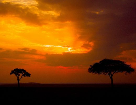 a colorful sunset descends upon the masai mara in kenya
