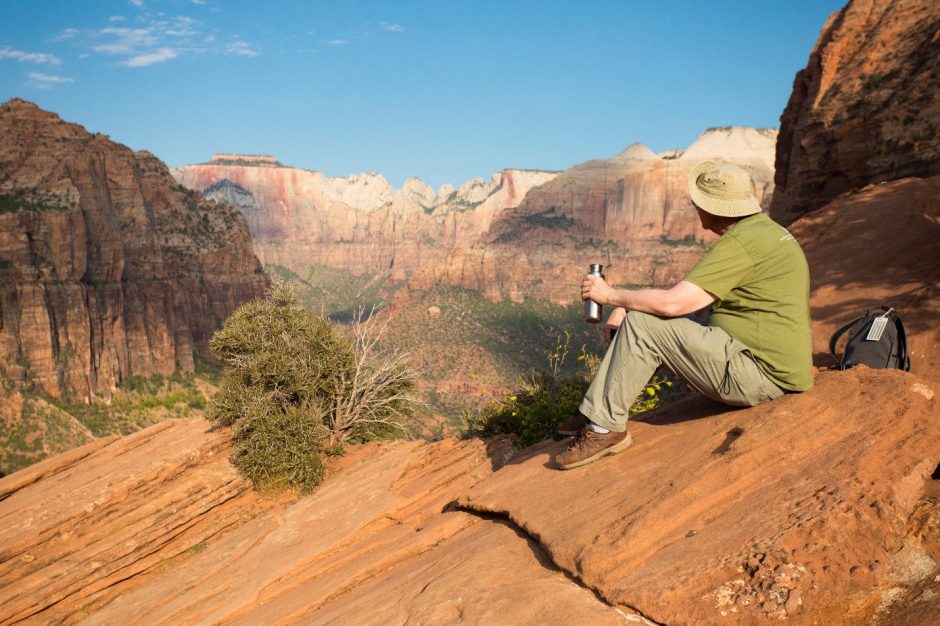 a traveler stares out at the main Zion Canyon from an overlook