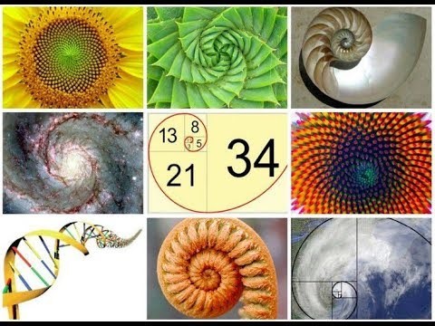 A Golden Photo Rule - The Golden Ratio