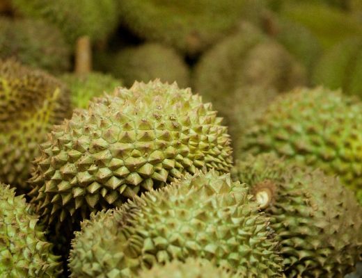 a narrow depth of field photo of durian fruit