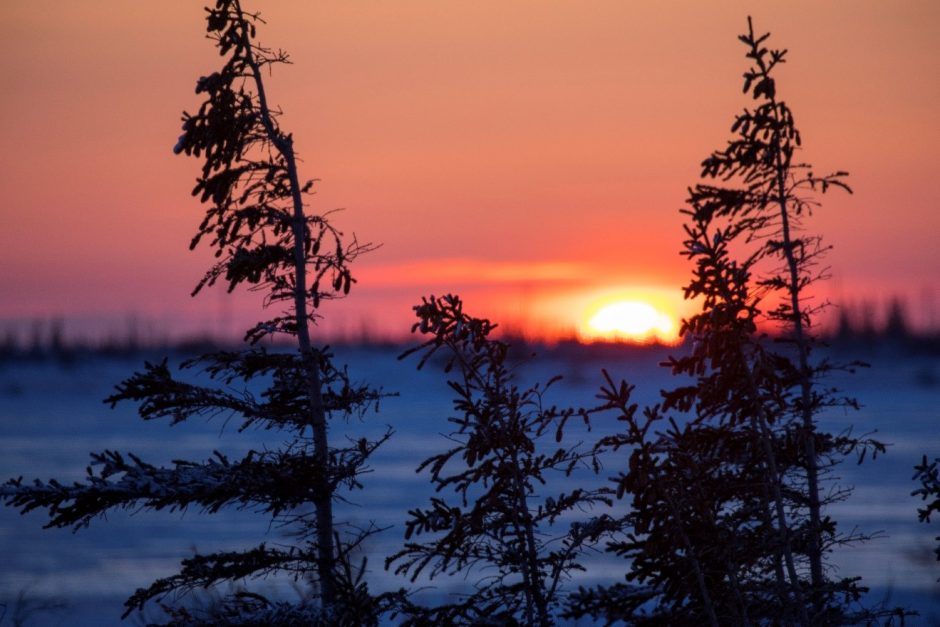 a colorful sun sets on the tundra