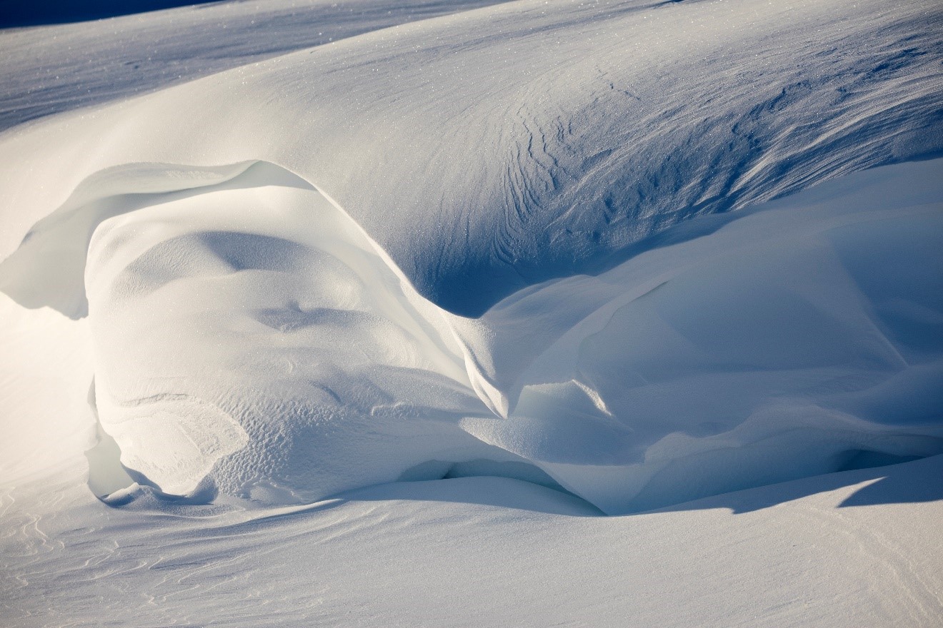 a shimmery scene of arctic snow in churchill canada