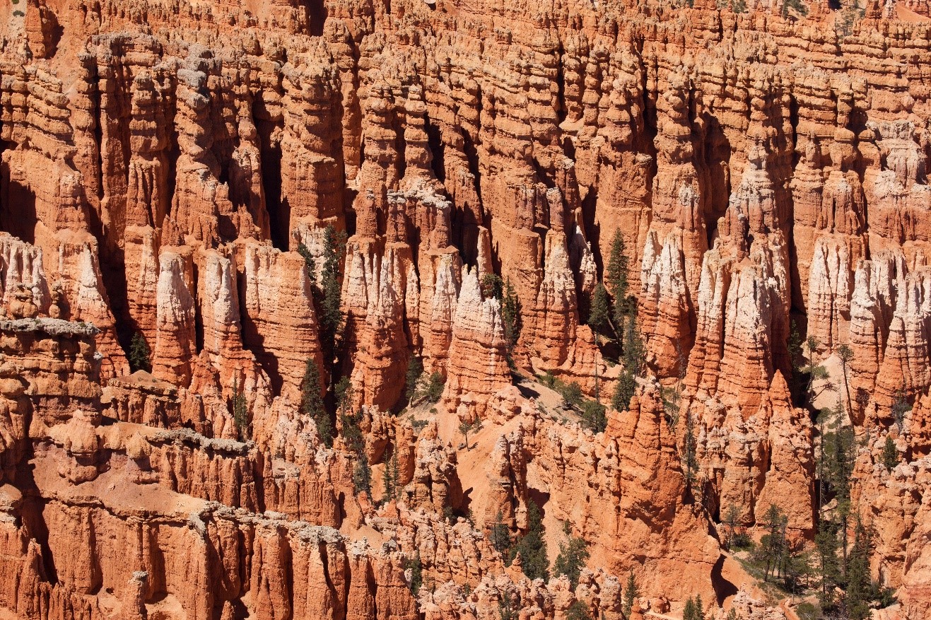 the colors and textures of the hoodoos of bryce