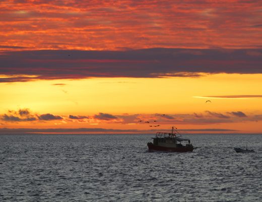 a stunning sunset blankets the horizon with a small fishing boat in the foreground