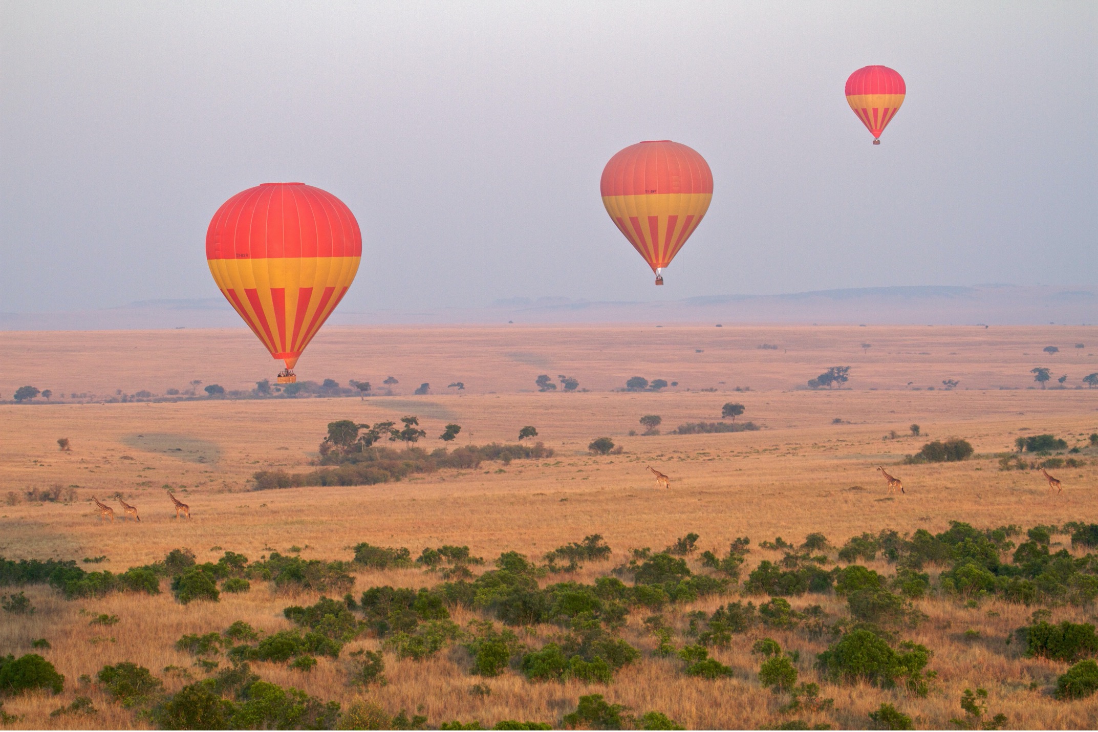 three hot air balloons soar over the vast plains of Kenya