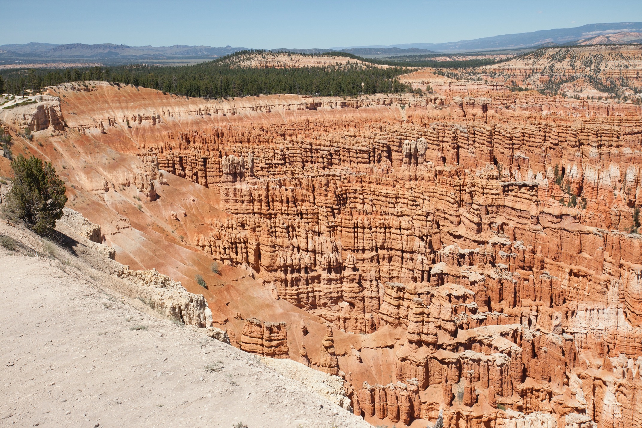 a sweeping view of bryce at midday