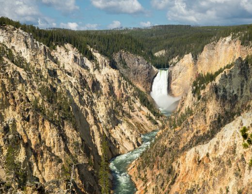falls roar over the grand canyon of yellowstone