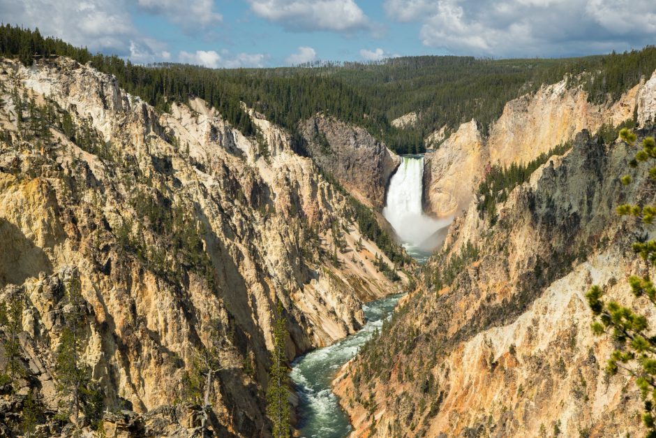 falls roar over the grand canyon of yellowstone