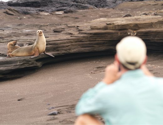 a galapagos sea lion poses for a photographer