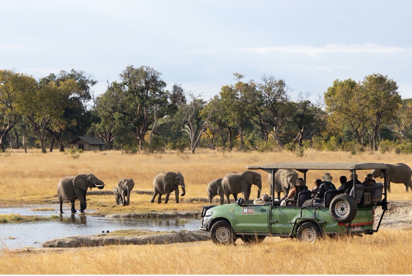 a herd of elephants are seen around a safari truck