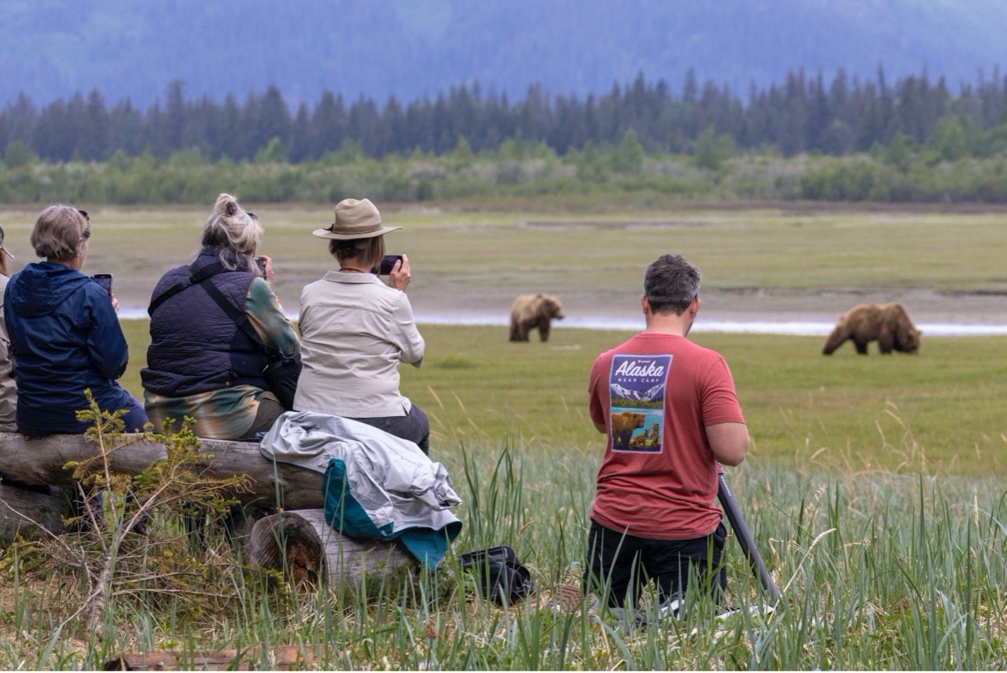 photographers enjoy watching and photographing large grizzlies near bear camp