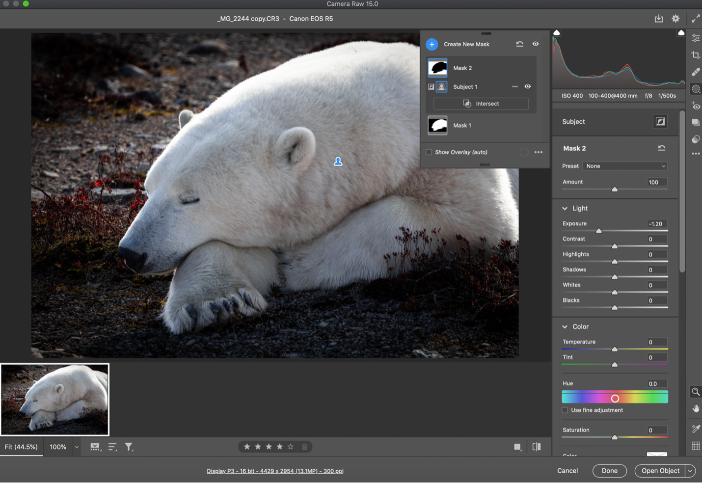 details of how to decrease the exposure of a polar bear portrait