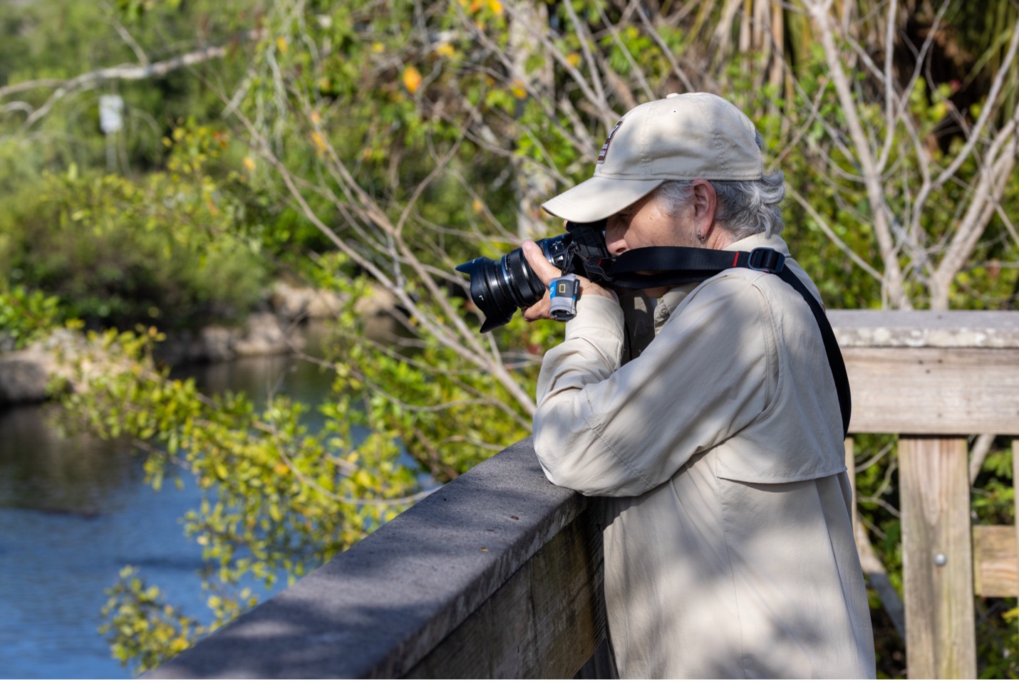 a photographer aims her camera into a Florida canal for alligator photography