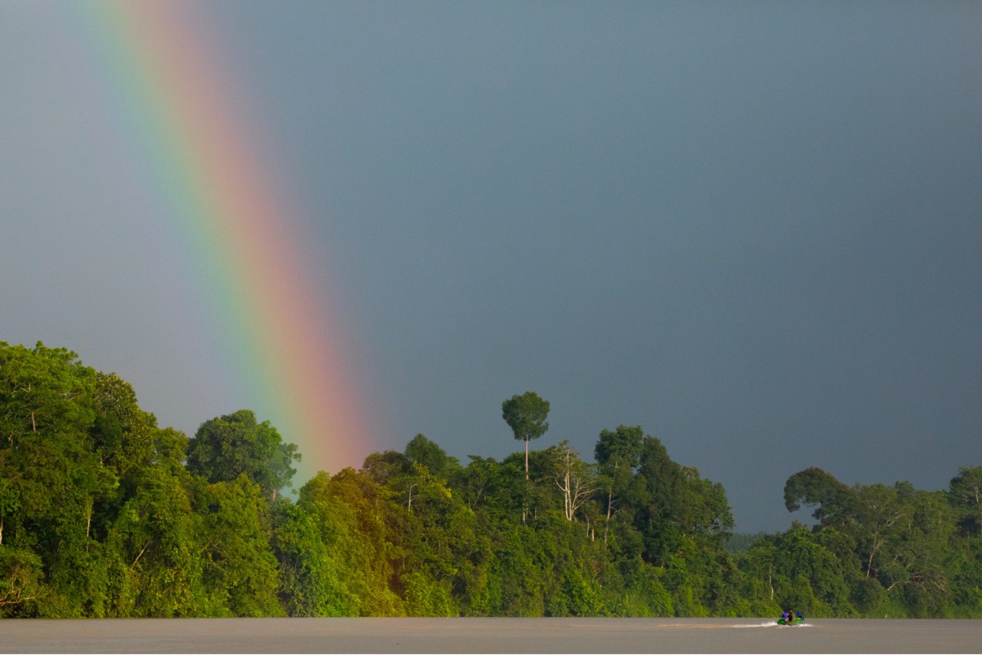 a rainbow descends over the Kinabatangan river in Borneo