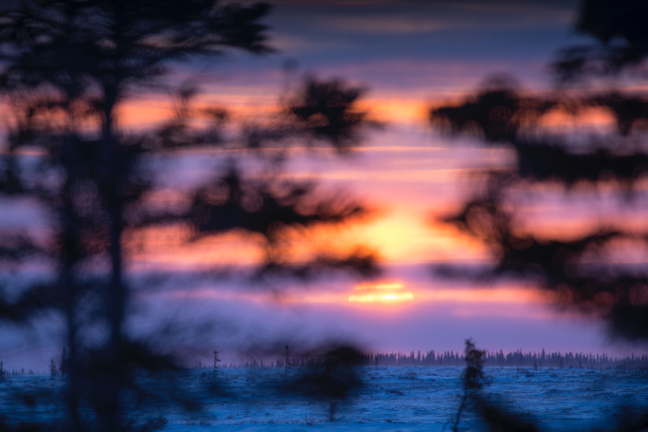 a sunset over the arctic with blurred foreground