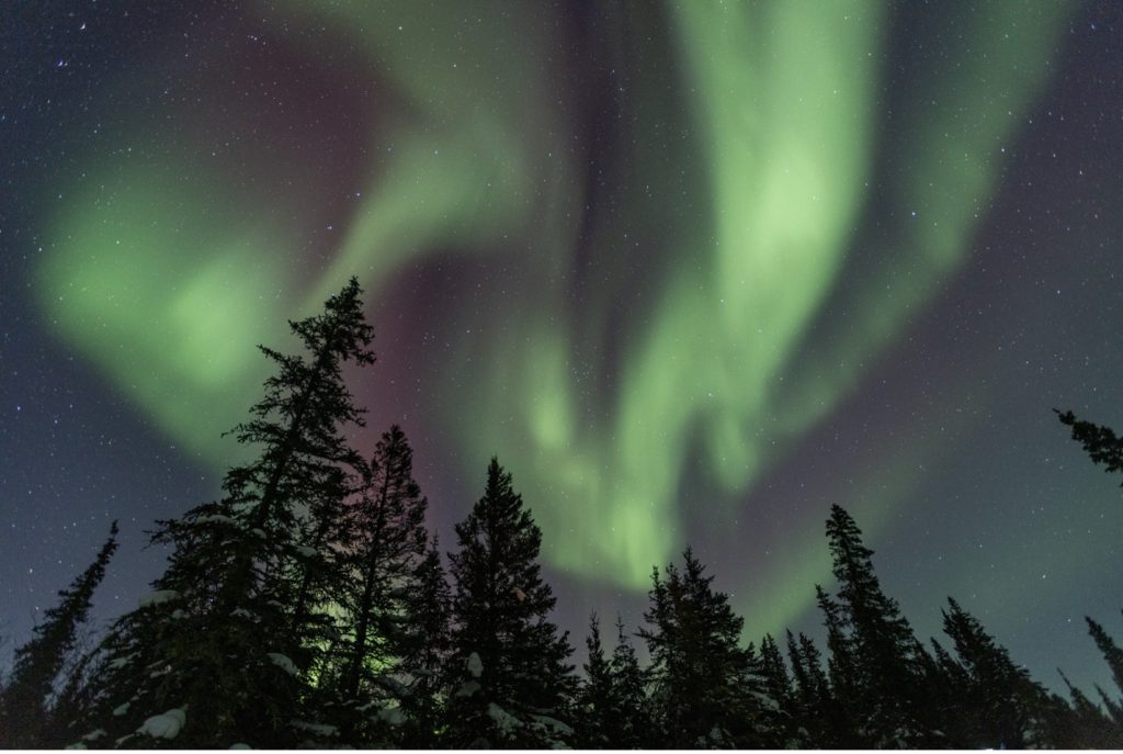 How to Get This Shot – Aurora over the Boreal Forest