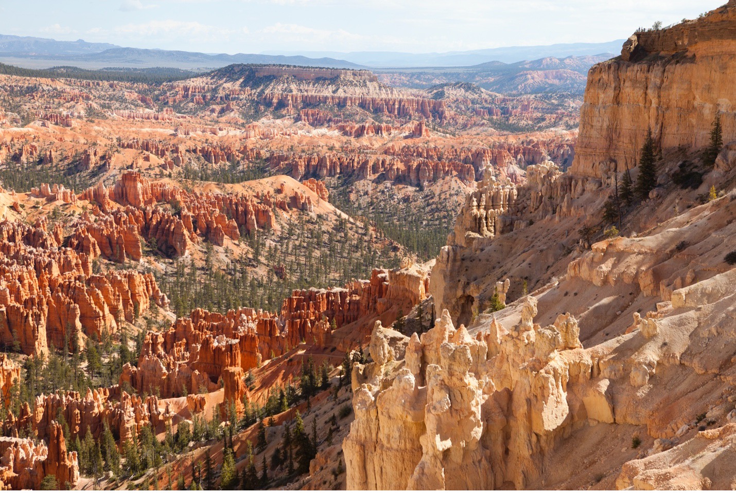a view of bryce canyon with harsh shadows