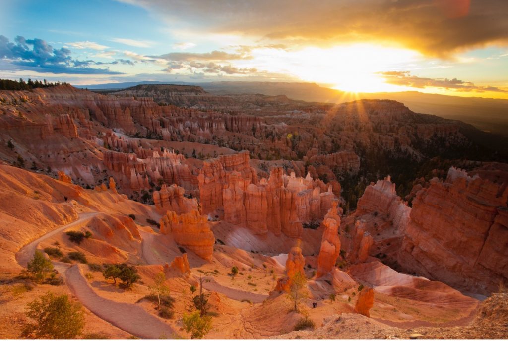 bryce canyon with all its rich colors at sunrise