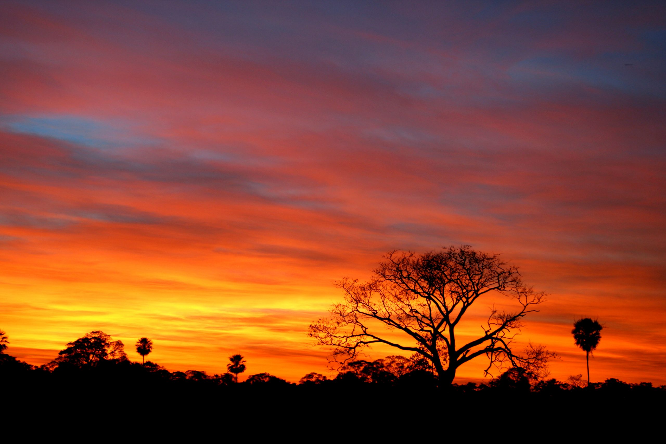Sunset, Pantanal, Brazil.