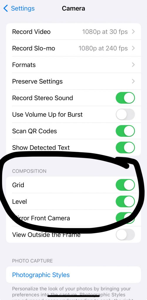 a screenshot showing the grid function on a smartphone for photo composition