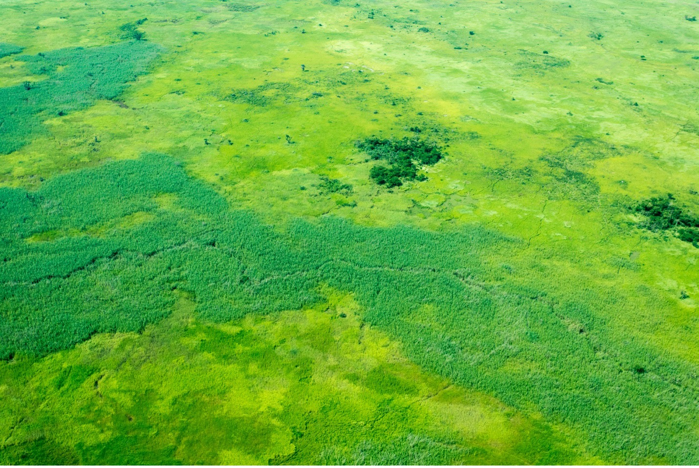 an aerial photo of a rain forest in Uganda