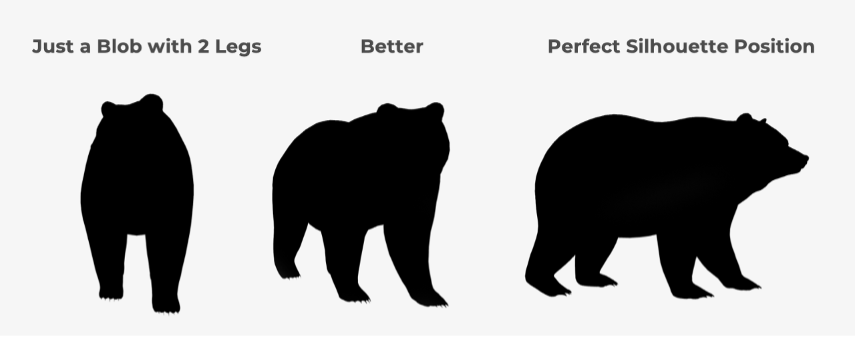 Diagram of Bear Silhouette